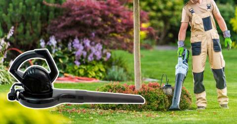 The Most Powerful Leaf Blowers For 2025