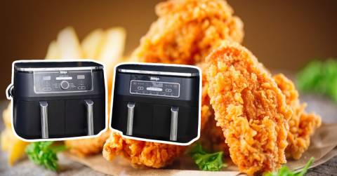 The 10 Best 2 Basket Air Fryer For 2024