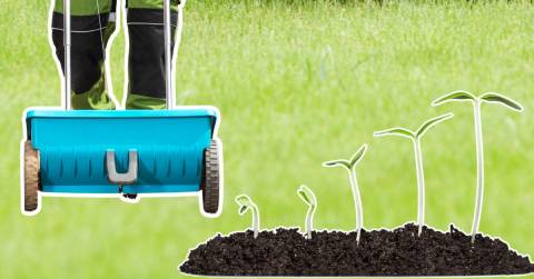The Best Atv Seed Spreader For 2025