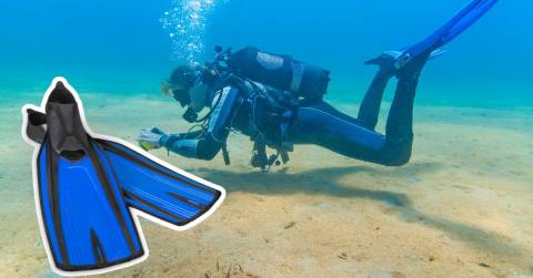 The Best Fins For Scuba In 2025