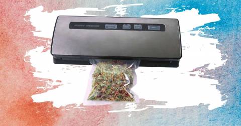 The Best Affordable Vacuum Sealer In 2024