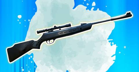 The Best Gamo Air Rifle For Hunting In 2025