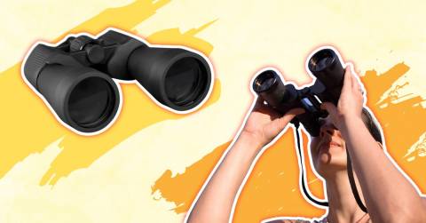 The Best 10x32 Binoculars For 2024