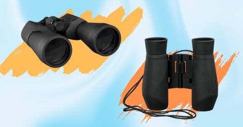 The Best Bang For Your Buck Binoculars For 2024