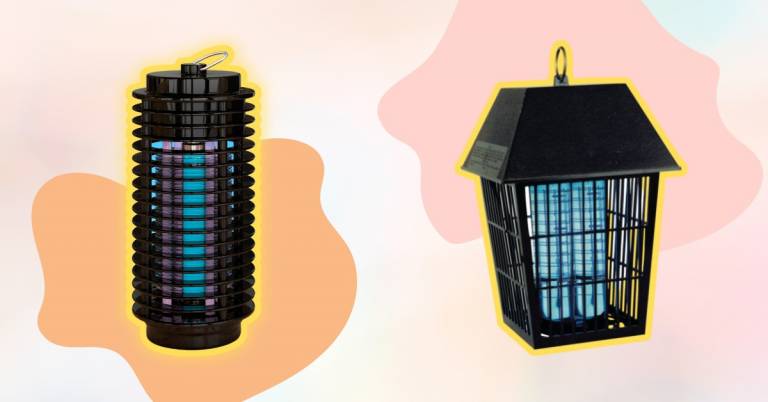 Best Bug Killer For Outdoors