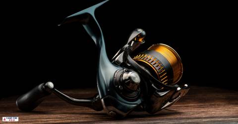 The Best 2 Speed Reel For 2025