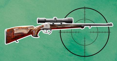 The Best 177 Pellet Rifle For Accuracy For 2024