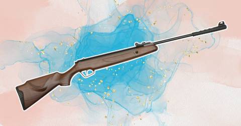 The Best Rws Air Rifle  For 2025, Researched And Tested