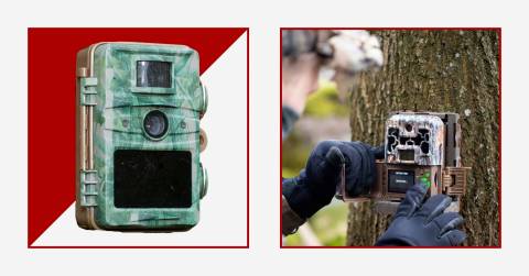 The 10 Smallest Game Trail Camera, Tested And Researched