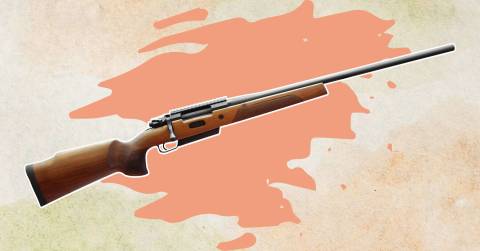 Top Best 177 Cal Pellet Rifle Of 2024: Reviews & Buying Guide