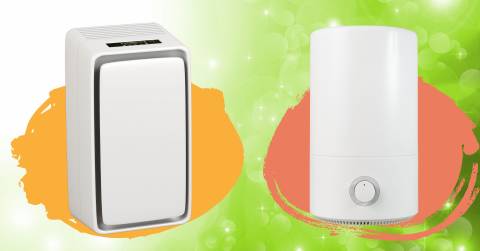 The Best Air Purifier For Basement In 2025