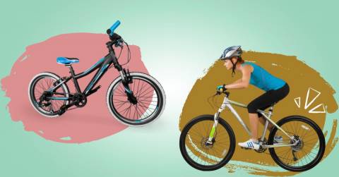 The Best Bike For Adults For 2024