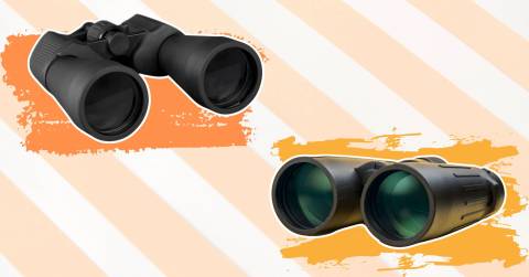 The Best Beginner Binoculars For 2024, Researched By CampFireHQ