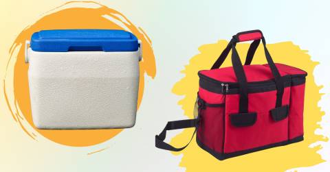 The 10 Best 26 Quart Cooler Of 2025, Tested By CampFireHQ