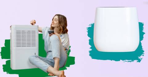 The Best Air Filter For Home In 2025