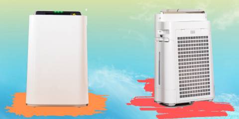 The Best Air Purifier For Humidity In 2025