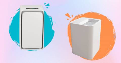 The Best Air Purifiers For Mold In 2025