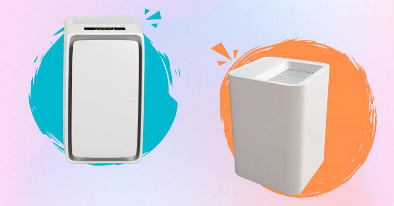 Best Air Purifiers For Mold