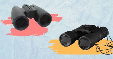 The Best Binoculars For Birdwatching In 2024