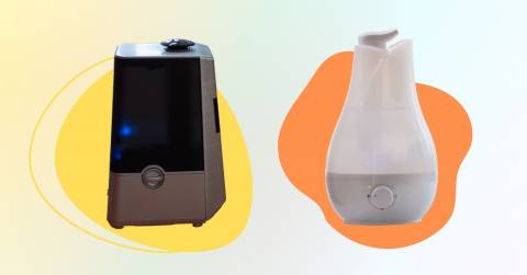 The Best Cool And Warm Mist Humidifiers For 2025