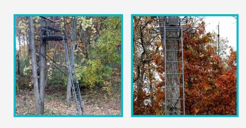 The 10 Best Ladder Stand Of 2025, Tested By CampFireHQ