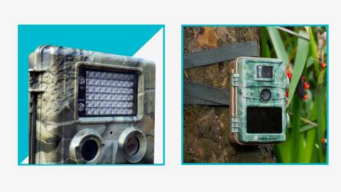 Best Solar Powered Cellular Trail Camera In 2024: Our Top Picks