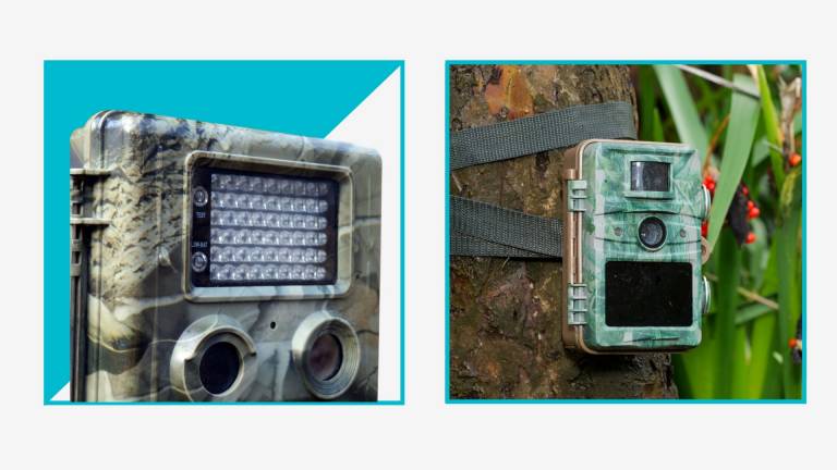Best solar powered cellular trail camera