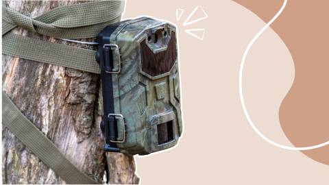 Best Trail Camera For Backyard Wildlife: Reviews In 2024 By Experts