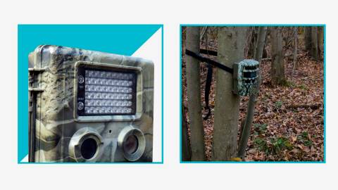 The Best Trail Cameras For 2024, Researched By CampFireHQ