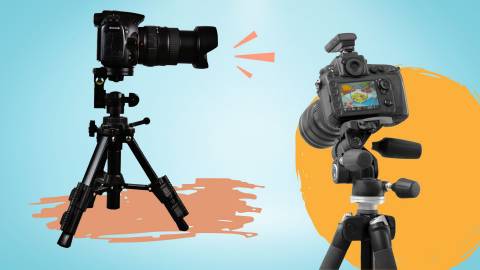 The Best Tripod For Camera For 2025