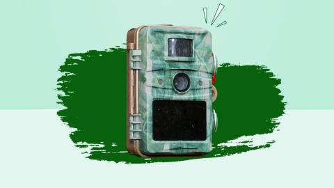 Best Wifi Trail Cameras Of 2025: Best Picks & Buying Guides
