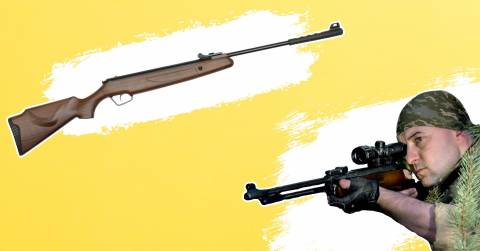 The Most Accurate Air Rifle At 50 Yards For 2025