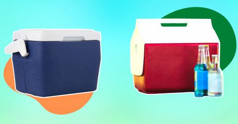 The Best 60 Qt Cooler For 2025