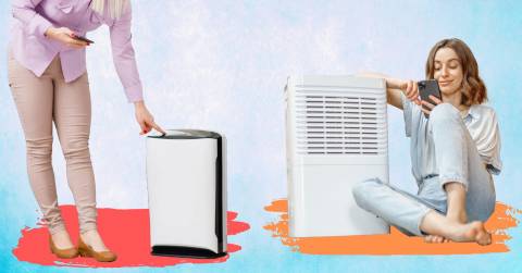 The Best Air Filter For Dust Mites In 2023
