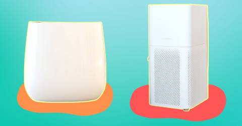 The Best Air Filter For Mold In 2024