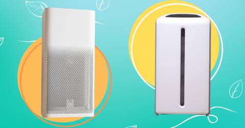 The 10 Best Air Filters For Allergies, Tested And Researched