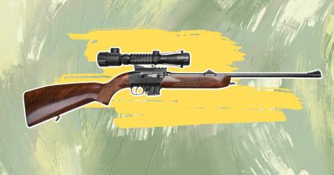 The Best Air Pellet Rifle: Top Picks Of 2024