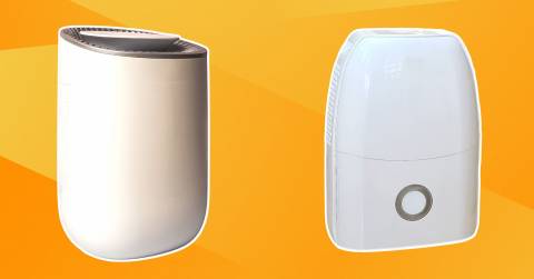 The Best Air Purifier And Dehumidifier For 2025
