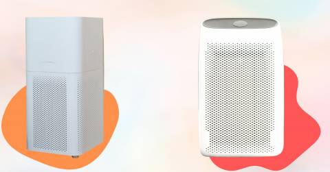 The Best Air Purifier For Large Room In 2024