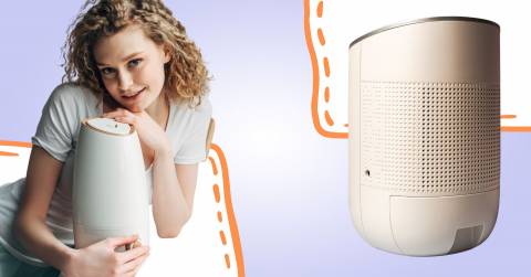 The Best Air Purifier For Musty Smell In 2024