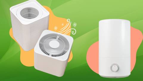 The Best Air Purifier For Studio Apartment In 2024