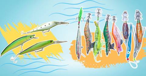 The Best Artificial Bait For Bass Fishing In 2025