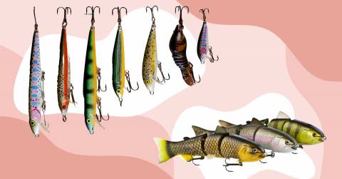 The 10 Best Artificial Lures For Bass, Tested And Researched