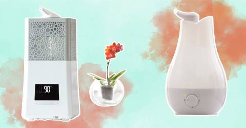 The 10 Best Cool Air Humidifier, Tested And Researched