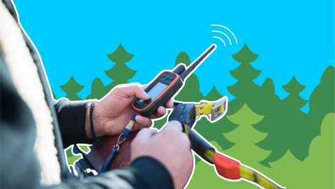 The Best Gps For Hunters For 2025