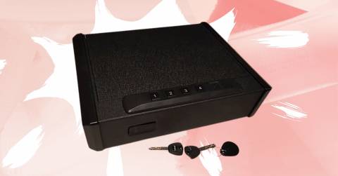 The 10 Best Gun Safe For Pistol Of 2025