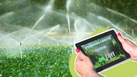 The 10 Best Irrigation Controllers, Tested And Researched