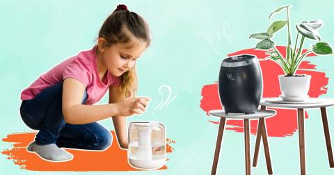 The Best Small Humidifiers For 2025