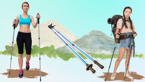 The Best Treking Poles For 2024