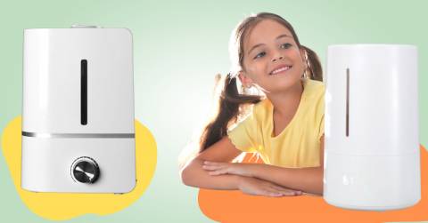 The Small Air Humidifier For 2025